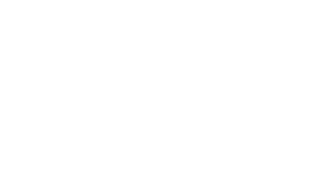 NEXVIA - Arrows